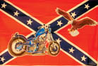 Biker flag